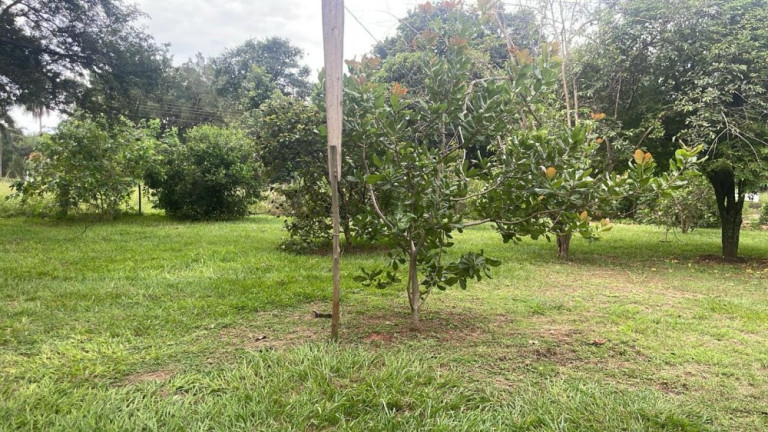 Imagem Imóvel com 3 Quartos à Venda, 290 m² em Parque Santa Cândida - Bauru