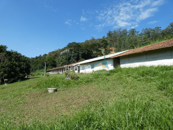 Imagem Imóvel com 3 Quartos para Alugar, 72.000 m² em Granja Mafra - Teresópolis