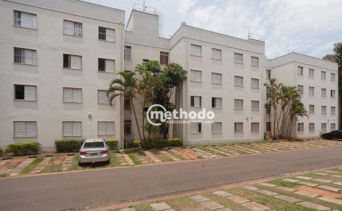 Imagem Apartamento com 2 Quartos à Venda, 55 m² em Jardim Miranda - Campinas Imagem Apartamento com 2 Quartos à Venda, 55 m² em Jardim Miranda - Campinas