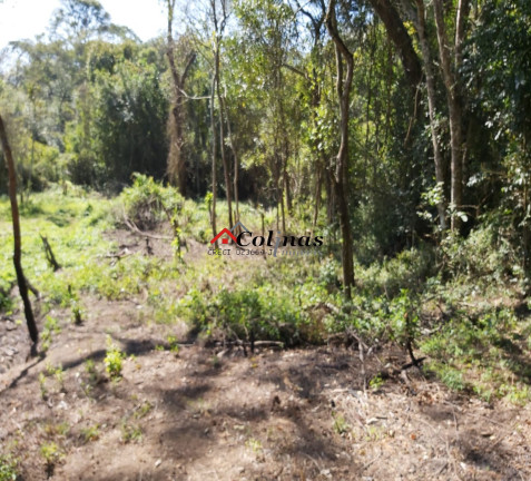 Imagem Terreno à Venda, 1.900 m² em Antes Do Centro - Ibiúna Imagem Terreno à Venda, 1.900 m² em Antes Do Centro - Ibiúna