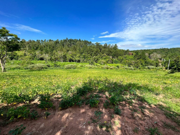 Imagem Chácara à Venda, 2 m² em Morungava - Gravataí Imagem Chácara à Venda, 2 m² em Morungava - Gravataí