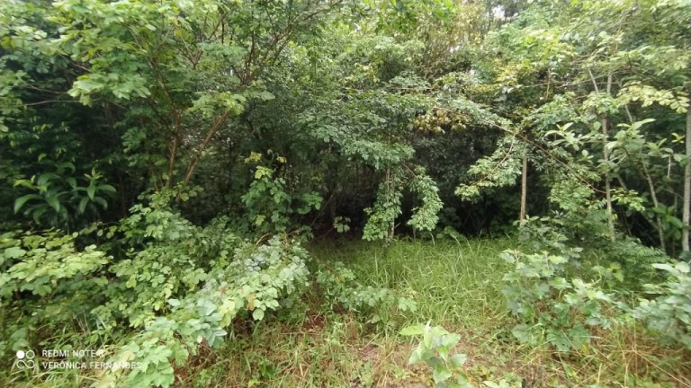 Imagem Terreno à Venda, 5.000 m² em Aldeia Dos Camarás - Camaragibe Imagem Terreno à Venda, 5.000 m² em Aldeia Dos Camarás - Camaragibe