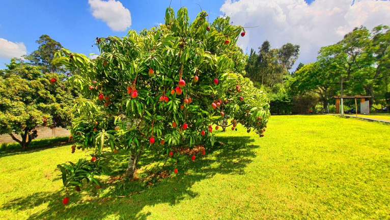 Imagem Imóvel com 2 Quartos à Venda, 3.768 m² em Jardim Estância Brasil - Atibaia Imagem Imóvel com 2 Quartos à Venda, 3.768 m² em Jardim Estância Brasil - Atibaia