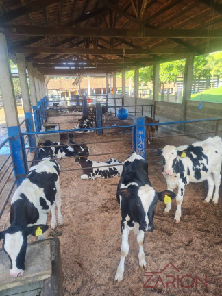 Imagem Fazenda à Venda, 138 m² em área Rural De Lorena - Lorena Imagem Fazenda à Venda, 138 m² em área Rural De Lorena - Lorena
