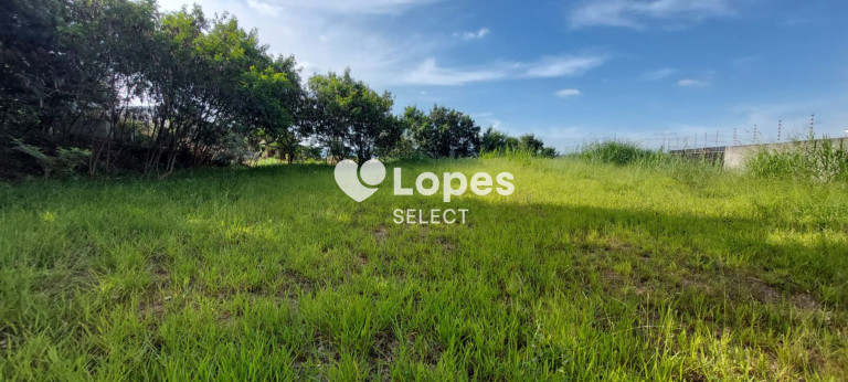 Imagem Terreno à Venda, 1.000 m² em Vila Omízollo - Louveira