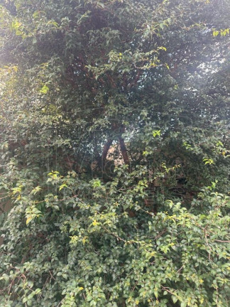 Terreno em Condomínio à Venda, 420 m² em Parque Residencial Damha - Araraquara