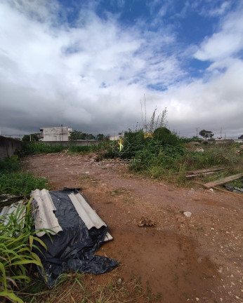 Imagem Terreno à Venda, 5.000 m² em Centro - Pinhais