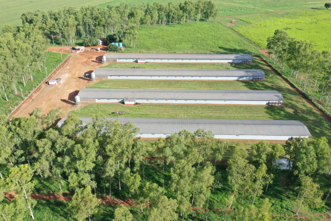 Imagem Imóvel à Venda, 740.000 m² em Centro - Nova Mutum Imagem Imóvel à Venda, 740.000 m² em Centro - Nova Mutum