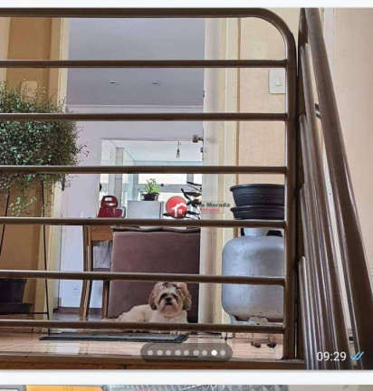 Imagem Apartamento com 2 Quartos à Venda, 50 m² em São Francisco - Belo Horizonte