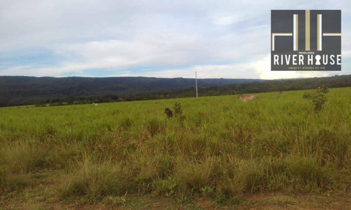 Imagem Fazenda à Venda, 74.300.000 m² em Vila Bom Jardim - Nobres
