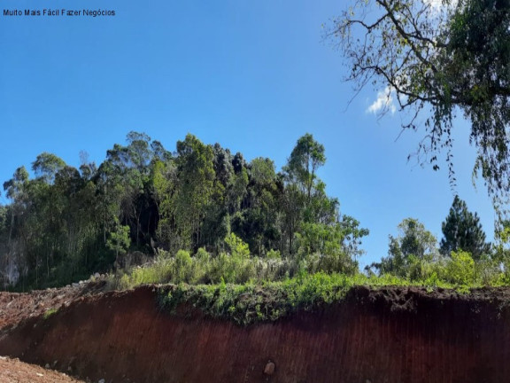 Imagem Terreno à Venda, 362 m² em Germânia - Nova Petrópolis Imagem Terreno à Venda, 362 m² em Germânia - Nova Petrópolis