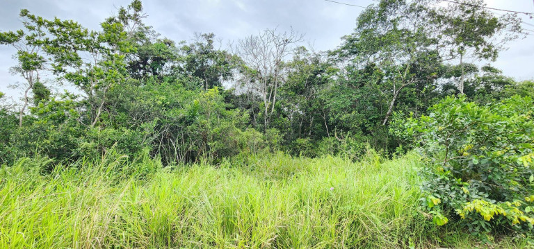 Imagem Terreno à Venda, 7.000 m² em Chácaras Lúcel - Itanhaém Imagem Terreno à Venda, 7.000 m² em Chácaras Lúcel - Itanhaém