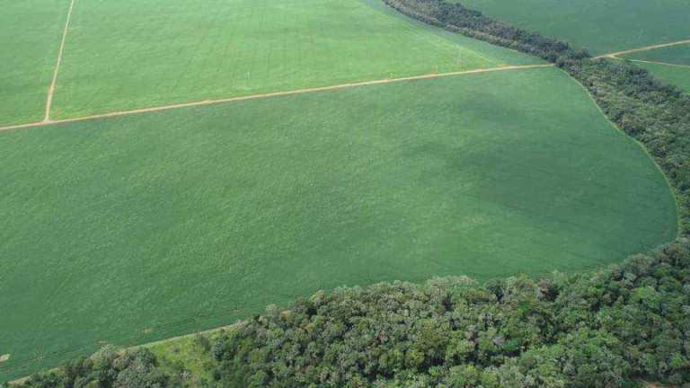 Imagem Fazenda à Venda, 510 m² em Zona Rural - Ipiranga Do Norte Imagem Fazenda à Venda, 510 m² em Zona Rural - Ipiranga Do Norte