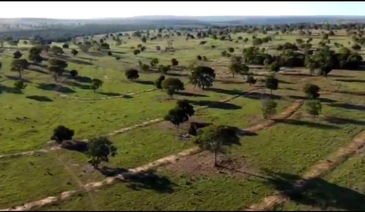 Imagem Fazenda à Venda, 4.534 m² em Rural - Camapuã Imagem Fazenda à Venda, 4.534 m² em Rural - Camapuã