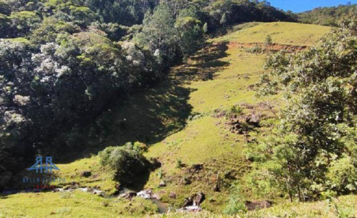 Imagem Terreno à Venda, 20.004 m² em Centro - São Pedro De Alcântara