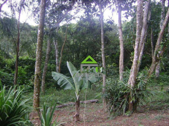 Imagem Terreno à Venda, 2.000 m² em Jardim Santa Paula - Cotia Imagem Terreno à Venda, 2.000 m² em Jardim Santa Paula - Cotia