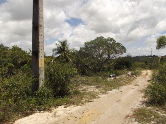 Imagem Terreno à Venda, 8 m² em Lot. Paraíso De Pium - Parnamirim Imagem Terreno à Venda, 8 m² em Lot. Paraíso De Pium - Parnamirim