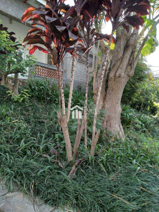 Imagem Imóvel à Venda, 525 m² em Jardim Sao Paulo(zona Norte) - São Paulo Imagem Imóvel à Venda, 525 m² em Jardim Sao Paulo(zona Norte) - São Paulo