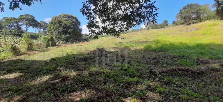 Imagem Imóvel à Venda, 3 m² em Milho Verde - Bandeira Do Sul