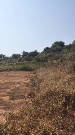 Imagem Terreno para Alugar, 5.000 m² em Parque Alvorada - Santana De Parnaíba Imagem Terreno para Alugar, 5.000 m² em Parque Alvorada - Santana De Parnaíba