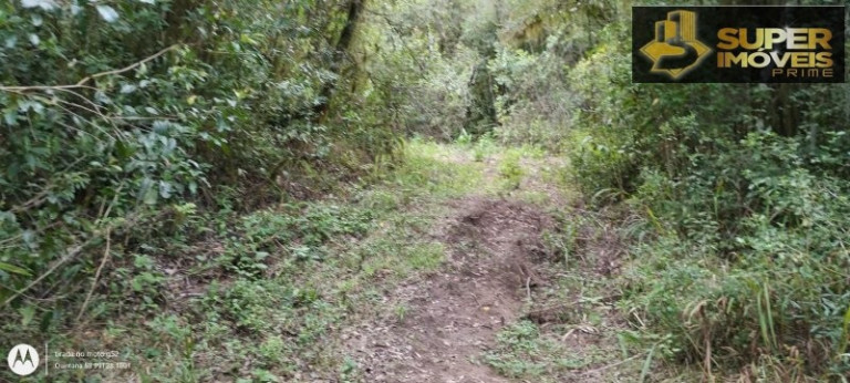Imagem Imóvel com 4 Quartos à Venda, 150.000 m² em Zona Rural - Morro Redondo