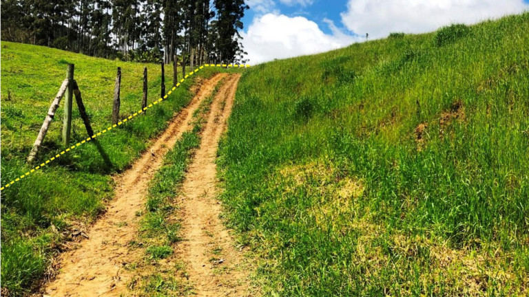 Imagem Imóvel com 3 Quartos à Venda, 30.000 m² em Zona Rural - Presidente Nereu