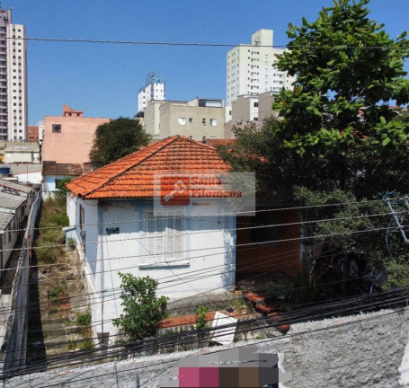 Imagem Terreno para Alugar, 500 m² em Vila Príncipe De Gales - Santo André Imagem Terreno para Alugar, 500 m² em Vila Príncipe De Gales - Santo André