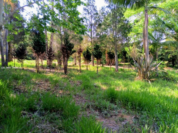 Terreno à Venda,  em Depois Do Centro - Ibiúna