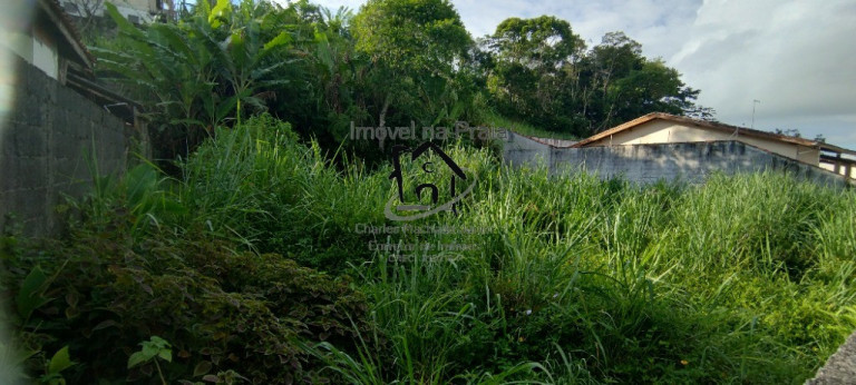 Imagem Terreno à Venda, 337 m² em Massaguaçu - Caraguatatuba