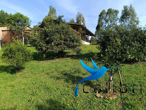 Imagem Chácara com 4 Quartos à Venda, 5.897 m² em Leão - Agudos Do Sul
