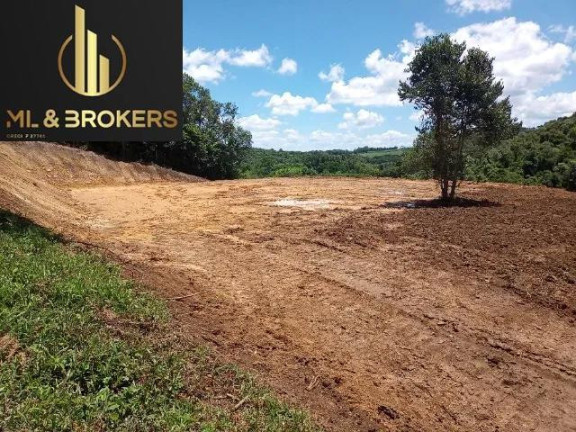 Imagem Imóvel à Venda, 10.000 m² em Centro - Bocaiuva Do Sul