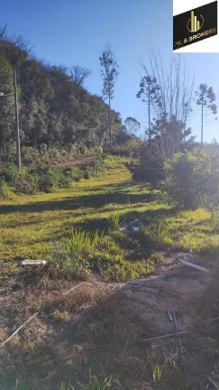 Imagem Imóvel com 4 Quartos à Venda, 29.000 m² em área Rural (areia Branca Dos Assis) - Mandirituba Imagem Imóvel com 4 Quartos à Venda, 29.000 m² em área Rural (areia Branca Dos Assis) - Mandirituba