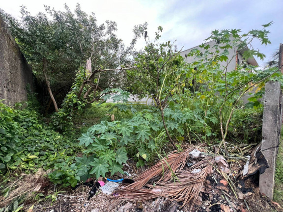 Imagem Terreno à Venda, 555 m² em Cidade Balneária Peruíbe/scipel - Peruíbe Imagem Terreno à Venda, 555 m² em Cidade Balneária Peruíbe/scipel - Peruíbe