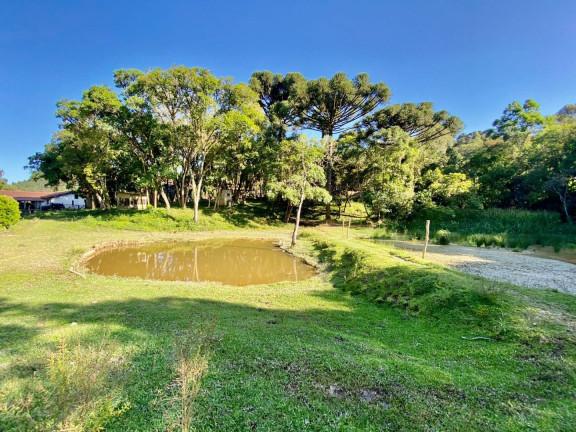 Imagem Fazenda à Venda, 220 m² em Boichininga - Almirante Tamandare Imagem Fazenda à Venda, 220 m² em Boichininga - Almirante Tamandare