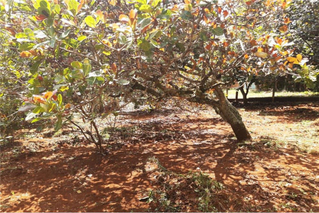 Imagem Imóvel com 7 Quartos à Venda, 400 m² em Jundiaquara - Araçoiaba Da Serra Imagem Imóvel com 7 Quartos à Venda, 400 m² em Jundiaquara - Araçoiaba Da Serra