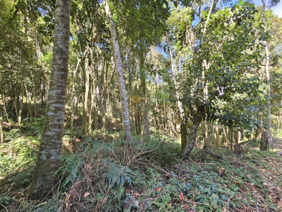 Imagem Terreno à Venda, 5.000 m² em Green Valleiy - Teresópolis