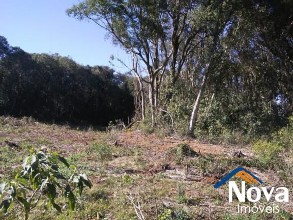 Imagem Imóvel à Venda, em Linha Imperial - Nova Petrópolis Imagem Imóvel à Venda, em Linha Imperial - Nova Petrópolis