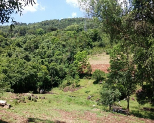 Imagem Imóvel com 4 Quartos à Venda, 88 m² em Vila Olinda - Nova Petrópolis Imagem Imóvel com 4 Quartos à Venda, 88 m² em Vila Olinda - Nova Petrópolis