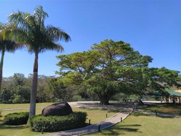 Imagem Casa com 4 Quartos à Venda, 392 m² em Condomínio Figueira Garden - Atibaia Imagem Casa com 4 Quartos à Venda, 392 m² em Condomínio Figueira Garden - Atibaia