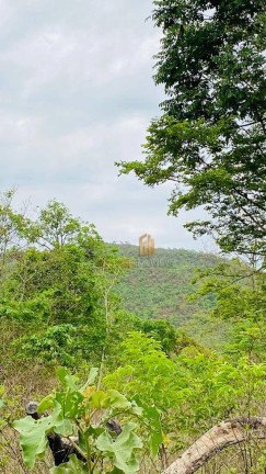 Imagem Chácara à Venda, 48.400 m² em Zona Rural - Pirenópolis Imagem Chácara à Venda, 48.400 m² em Zona Rural - Pirenópolis