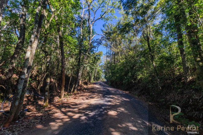Imagem Terreno à Venda, 3.000 m² em Fazenda São Borja - São Leopoldo Imagem Terreno à Venda, 3.000 m² em Fazenda São Borja - São Leopoldo