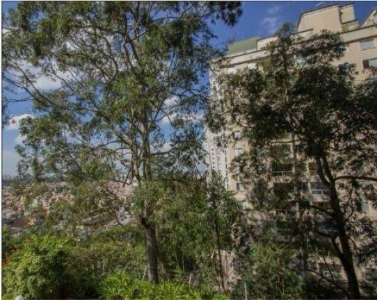 Imagem Casa com 3 Quartos à Venda, 150 m² em Morumbi - São Paulo Imagem Casa com 3 Quartos à Venda, 150 m² em Morumbi - São Paulo
