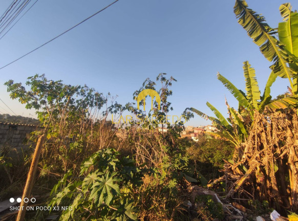 Imagem Terreno à Venda, 300 m² em Liberdade 2 - Sarzedo Imagem Terreno à Venda, 300 m² em Liberdade 2 - Sarzedo