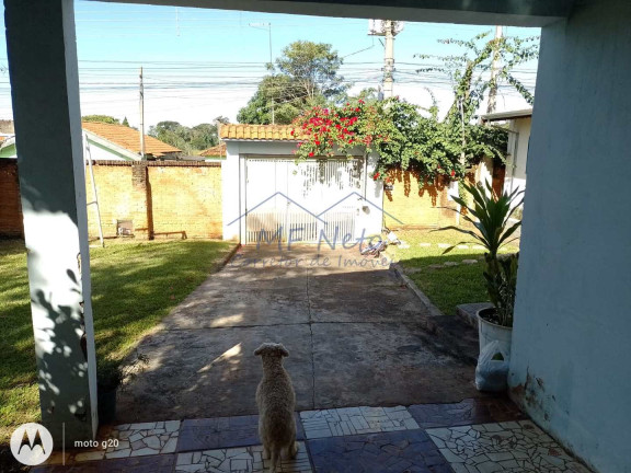 Imagem Fazenda à Venda, 1.281 m² em Vila São Guido - Pirassununga Imagem Fazenda à Venda, 1.281 m² em Vila São Guido - Pirassununga