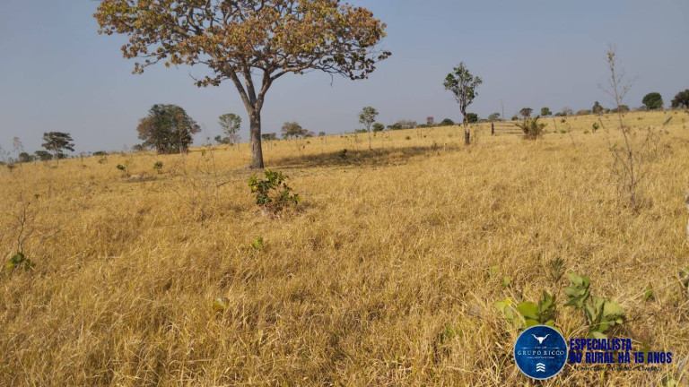 Imagem Chácara à Venda, 20 m² em Zona Rural - Morro Agudo De Goiás Imagem Chácara à Venda, 20 m² em Zona Rural - Morro Agudo De Goiás