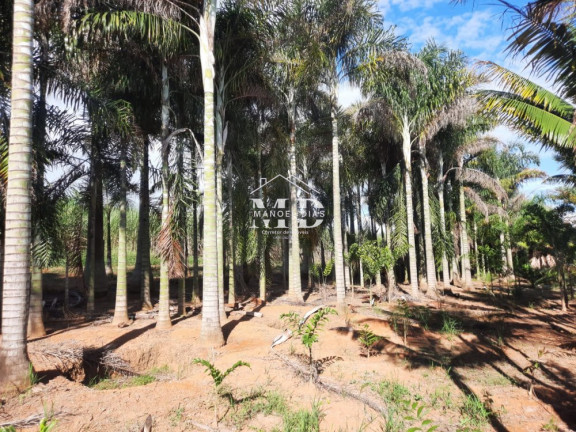 Imagem Imóvel à Venda, 48.000 m² em Ponte De Tábua - Artur Nogueira Imagem Imóvel à Venda, 48.000 m² em Ponte De Tábua - Artur Nogueira