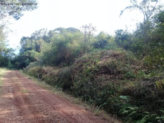 Imagem Terreno à Venda, 6 m² em Linha Temerária - Nova Petrópolis