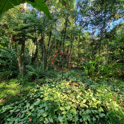 Imagem Terreno à Venda, 400 m² em Boiçucanga - São Sebastião Imagem Terreno à Venda, 400 m² em Boiçucanga - São Sebastião