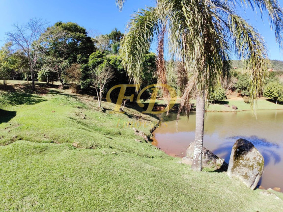 Imagem Chácara com 3 Quartos à Venda, 82.000 m² em Barroção - Piracaia