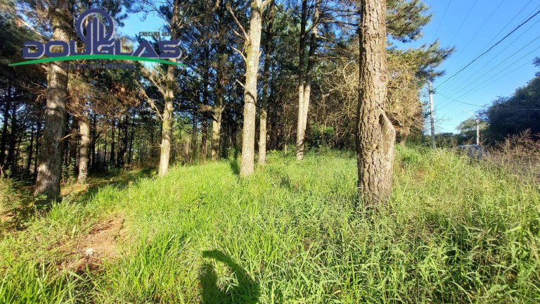 Imagem Terreno à Venda, 3.100 m² em São Tomé - Viamão Imagem Terreno à Venda, 3.100 m² em São Tomé - Viamão